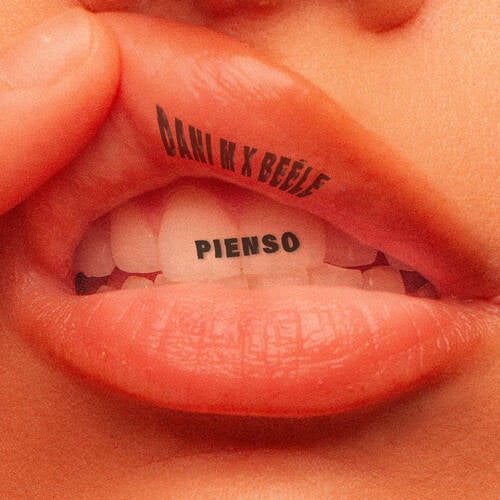 PIENSO