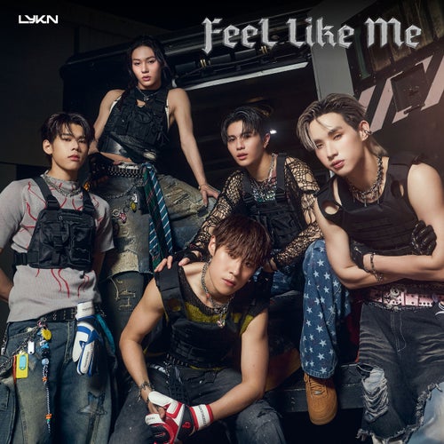 ชอบก็บอก (Feel Like Me)
