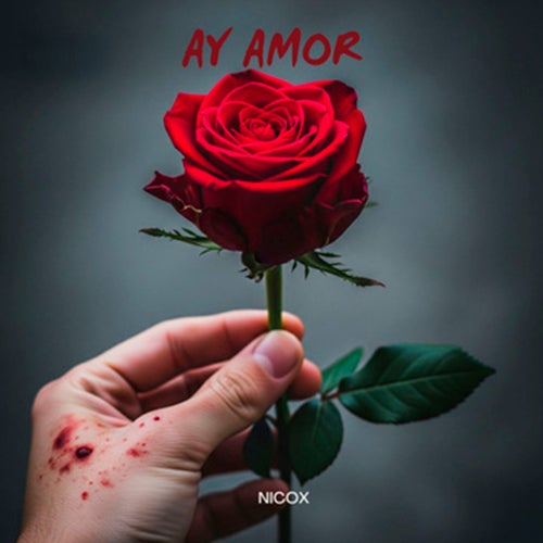 Ay Amor