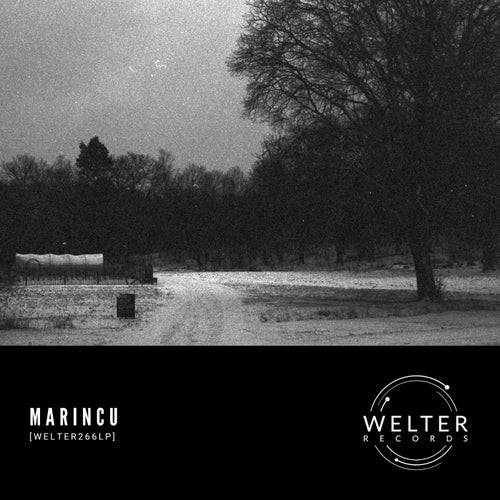 [WELTER266LP]