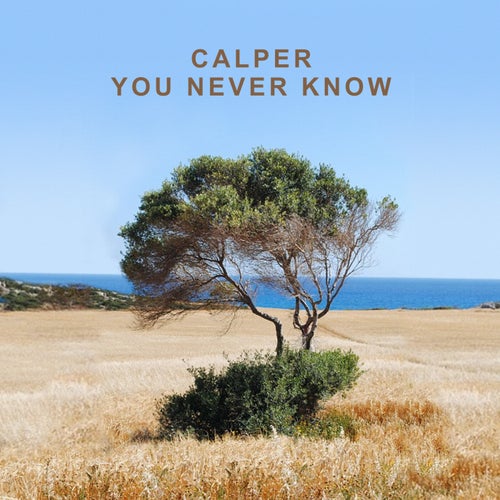 You Never Know (Laibert Sunset Mix)