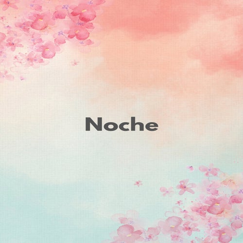 Noche