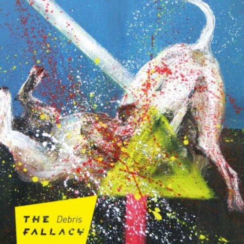 The Debris Fallacy