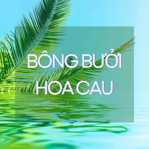 Bông Bưởi Hoa Cau