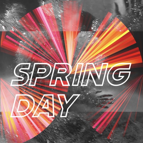Spring Day