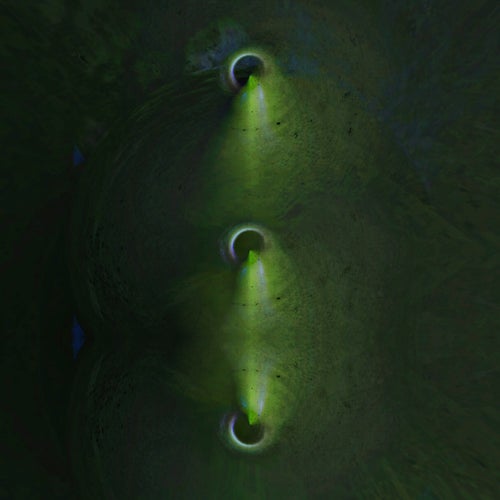 cosmos