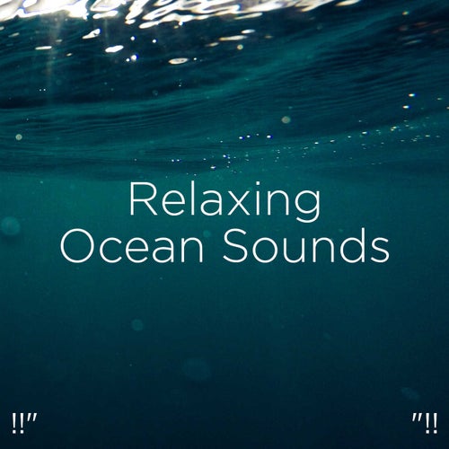 !!" Relaxing Ocean Sounds "!!