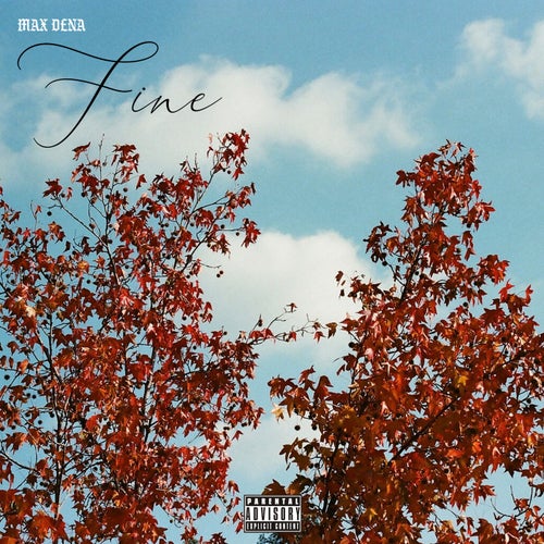 Fine