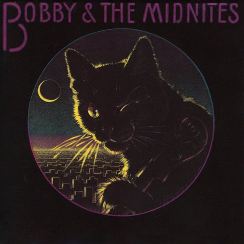 Bobby & The Midnites (feat. Bob Weir)