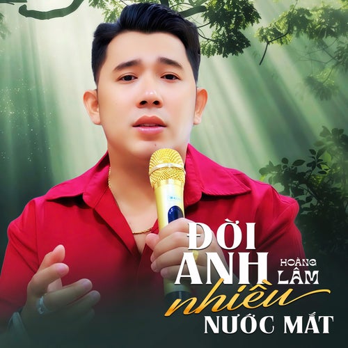 Đời Anh Nhiều Nước Mắt