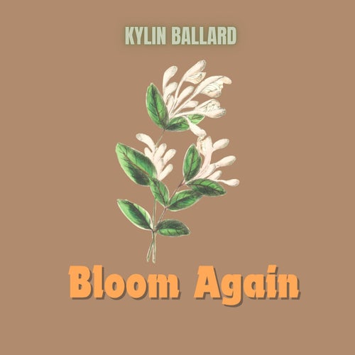 Bloom Again