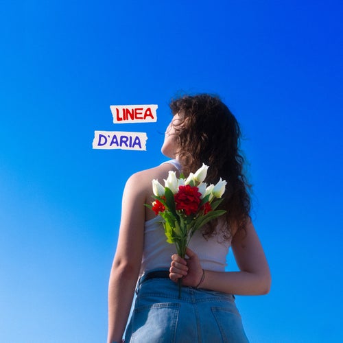 Linea D'aria