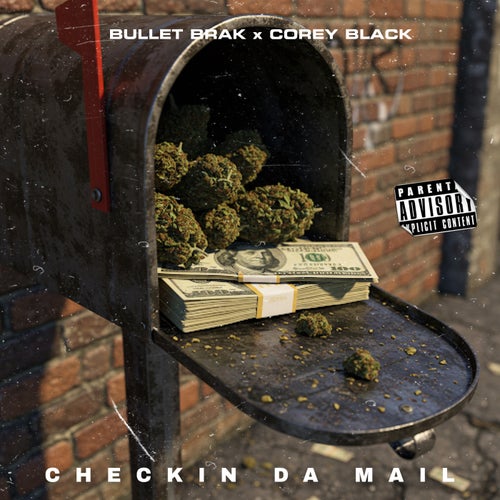 Release of the week