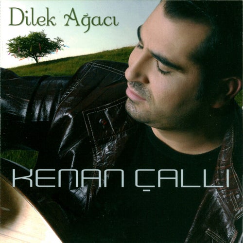 Seni Benden Alan