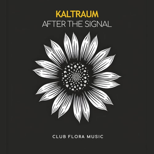 After the Signal