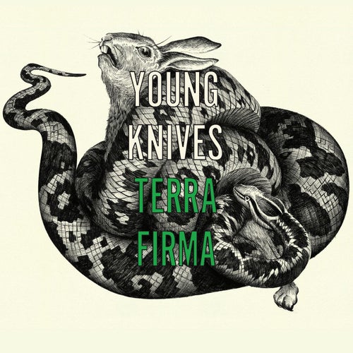 Terra Firma (EP  International DMD)