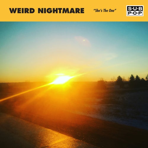 Release of the week