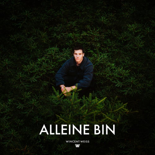 Alleine Bin