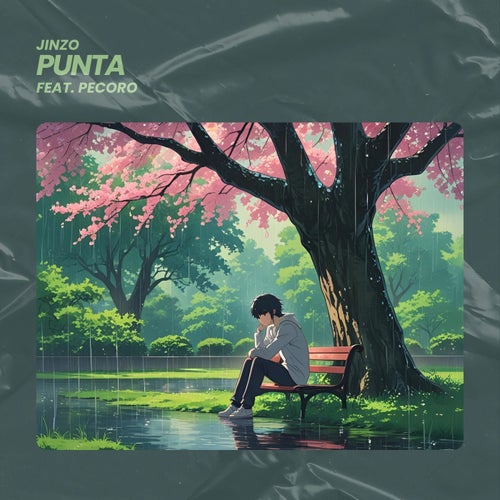 Punta (feat. pecoro)