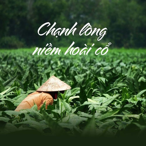 Chạnh Lòng Niềm Hoài Cổ