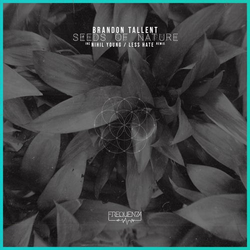 Release of the week