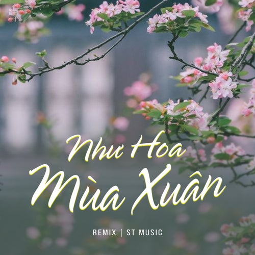 Như Hoa Mùa Xuân (Remix)