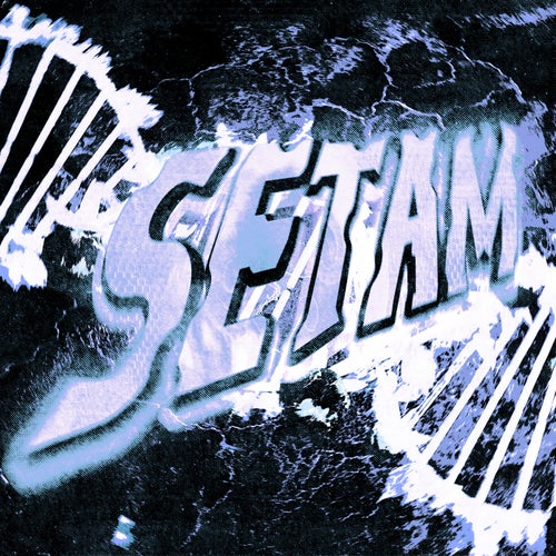 SETAM