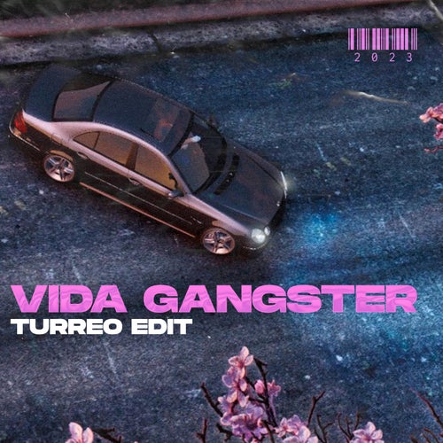 Vida Gangster (Turreo Edit)