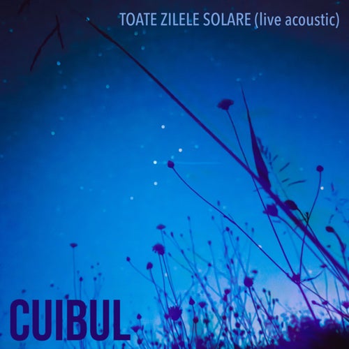 Toate zilele solare (Live Acoustic)