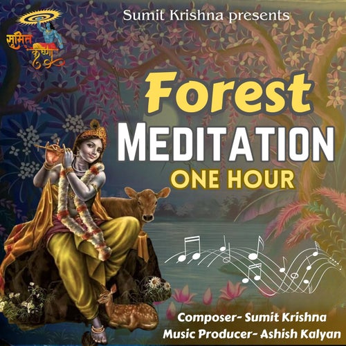 Forest Meditation One Hour