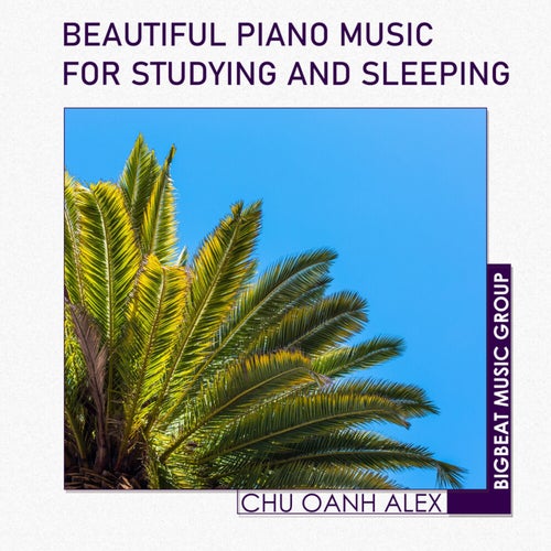 Beautiful Piano Music for Studying and Sleeping
