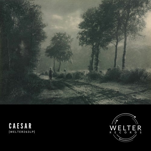 [WELTER263LP]