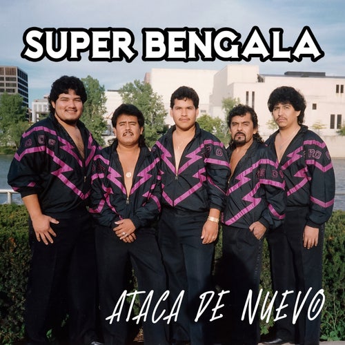 Ataca de Nuevo