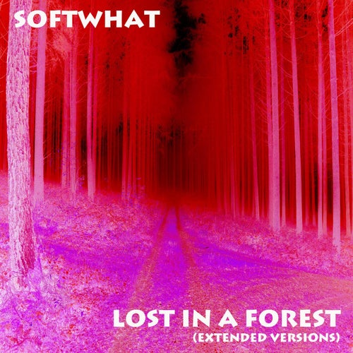 Lost in a Forest