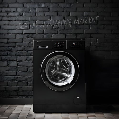 Sex on a washing machine