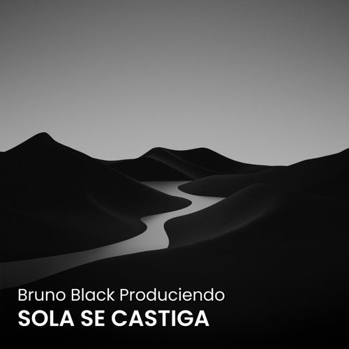 SOLA SE CASTIGA