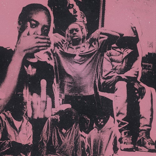 Release of the week