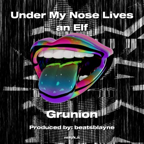 Under My Nose Lives an Elf