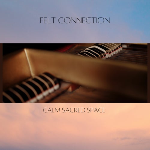 Felt Connections