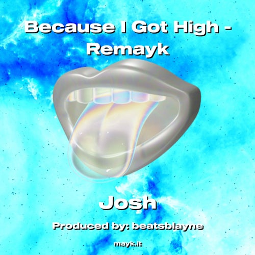 Because I Got High - Remayk