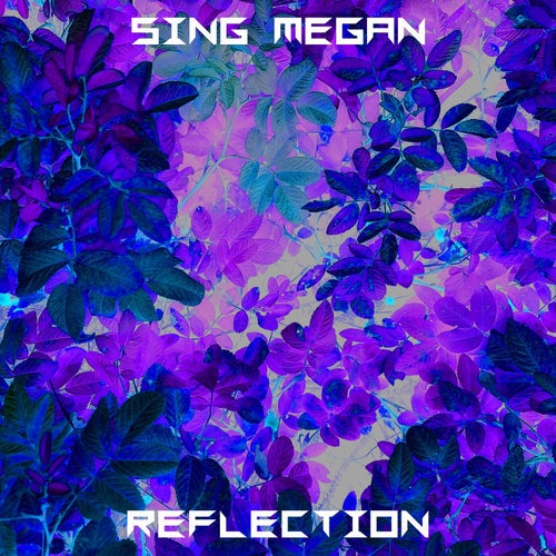 Reflection