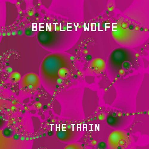 The train