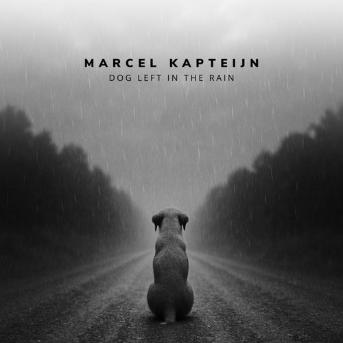 Dog Left In The Rain