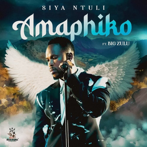 Amaphiko