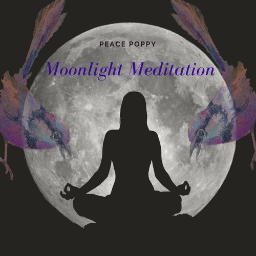 Moonlight Meditation