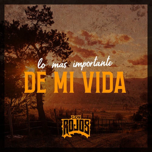 Lo Más Importante De Mi Vida