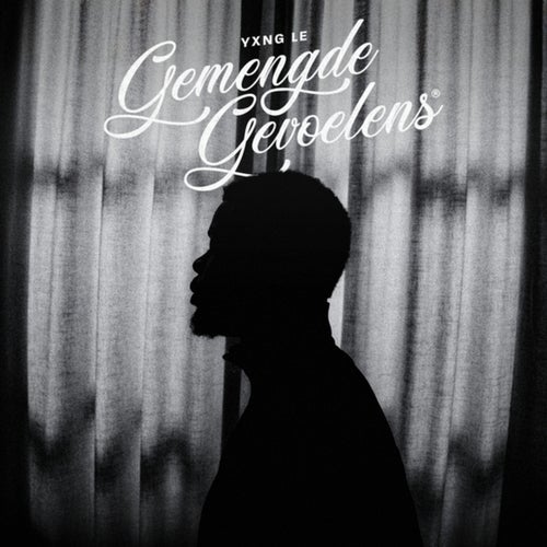 Gemengde Gevoelens
