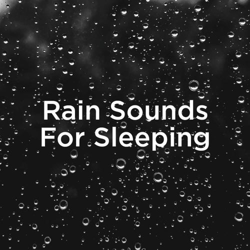 Sleep Rain Sounds