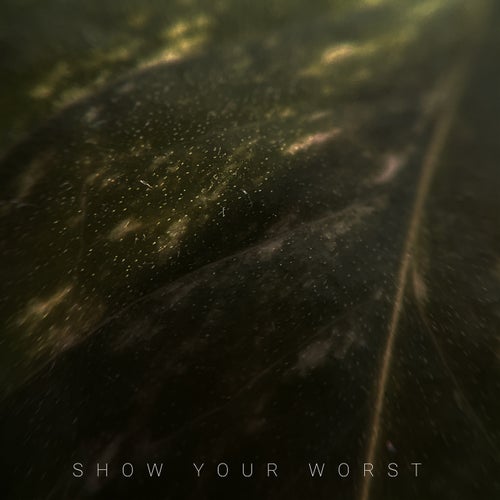 Show Your Worst