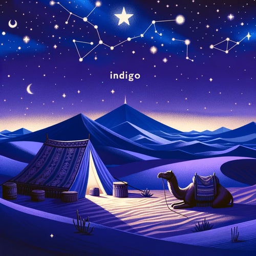 .indigo.